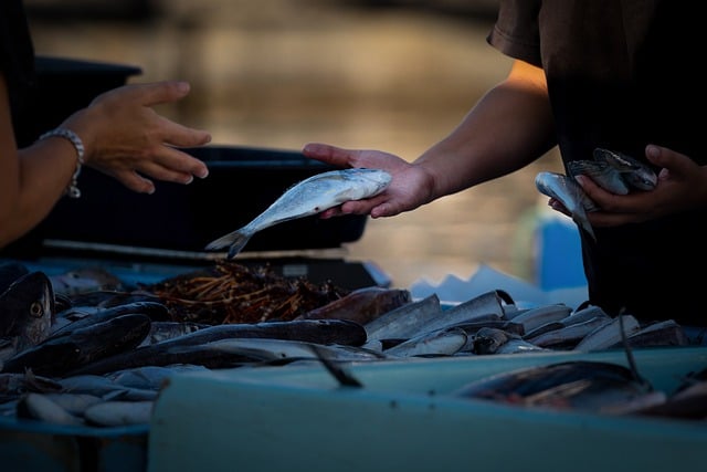 Co warto sprzedawać w 2023? Co warto sprzedawać w 2023?