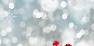 Czym się różni torba R1 od r2?