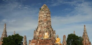 Jakie są rekiny w Tajlandii?