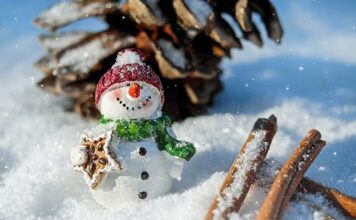 Jaka czapka okrągła twarz?