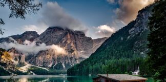 Jakie dodatki do domu?