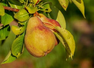 Jaką odżywką przed basenem? Jaką odżywką przed basenem?