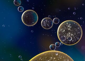 Co można smarować w zawieszeniu? Co można smarować w zawieszeniu?