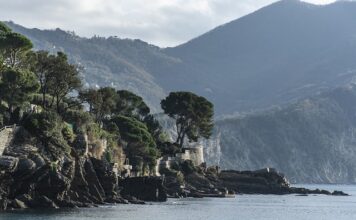 Ile kosztuje profesjonalna tarcza do darta?