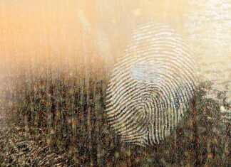 Do czego stosuje się smar ceramiczny? Do czego stosuje się smar ceramiczny?