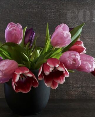 Czym smarować sprężyny? Czym smarować sprężyny?