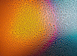 Czym myć ogon konia?