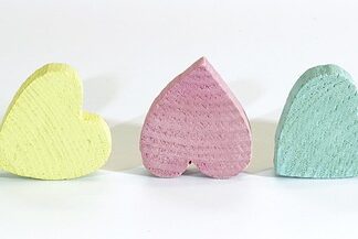 Jaki rozmiar derki dla kuca szetlandzkiego?